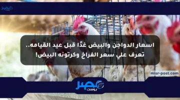 أسعار الدواجن والبيض غدًا قبل عيد القيامة.. تعرف على سعر الفراخ وكرتونة البيض!